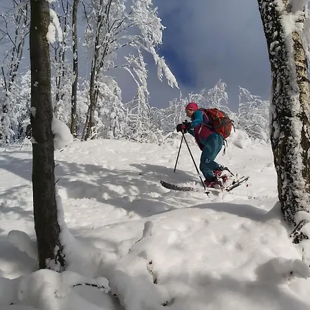 Lägenhet In Markousovice
