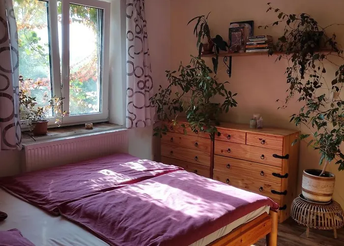 In Markousovice Velke Svatonovice